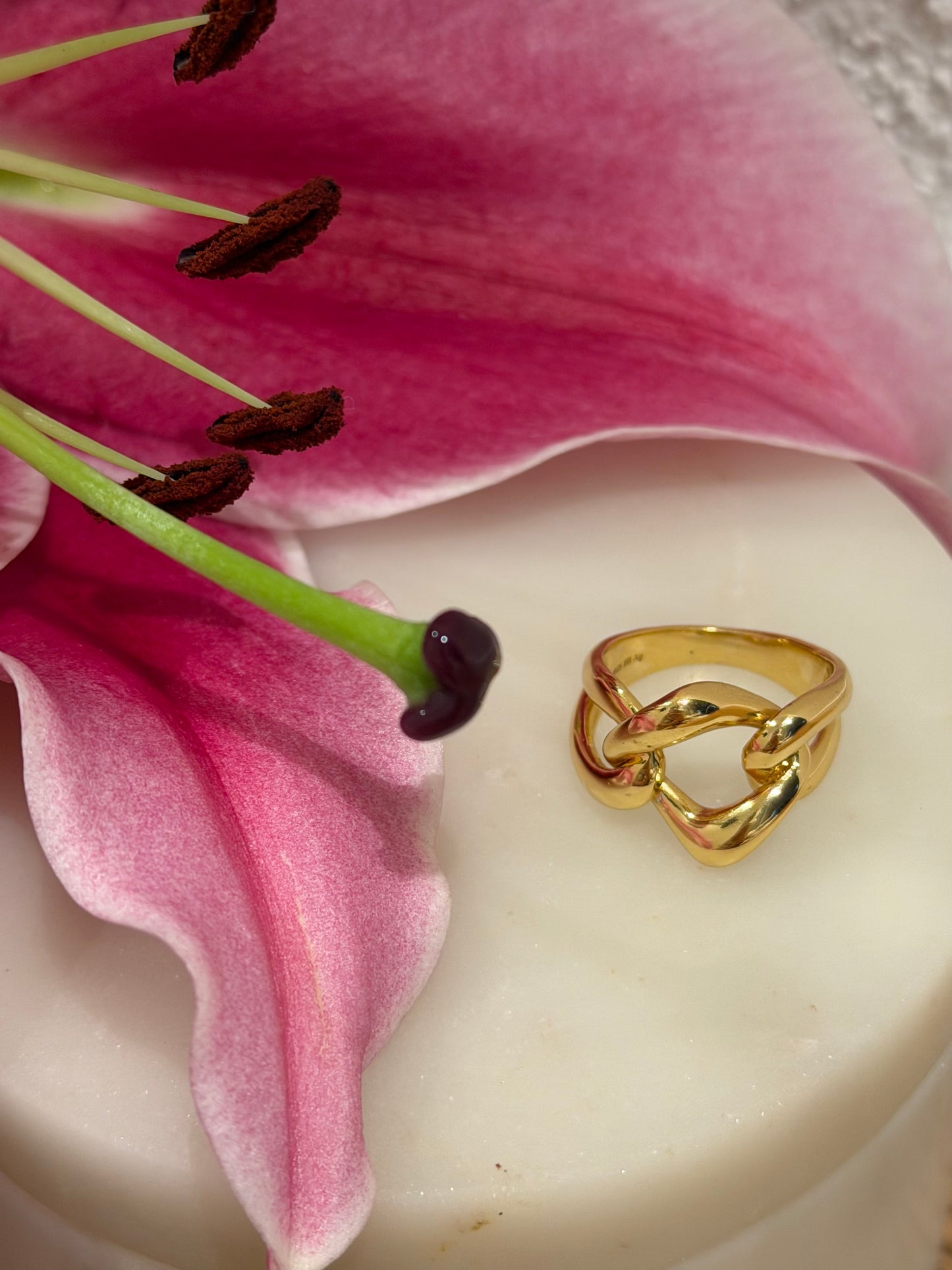 Ring silber/vergoldet Argento Furioso